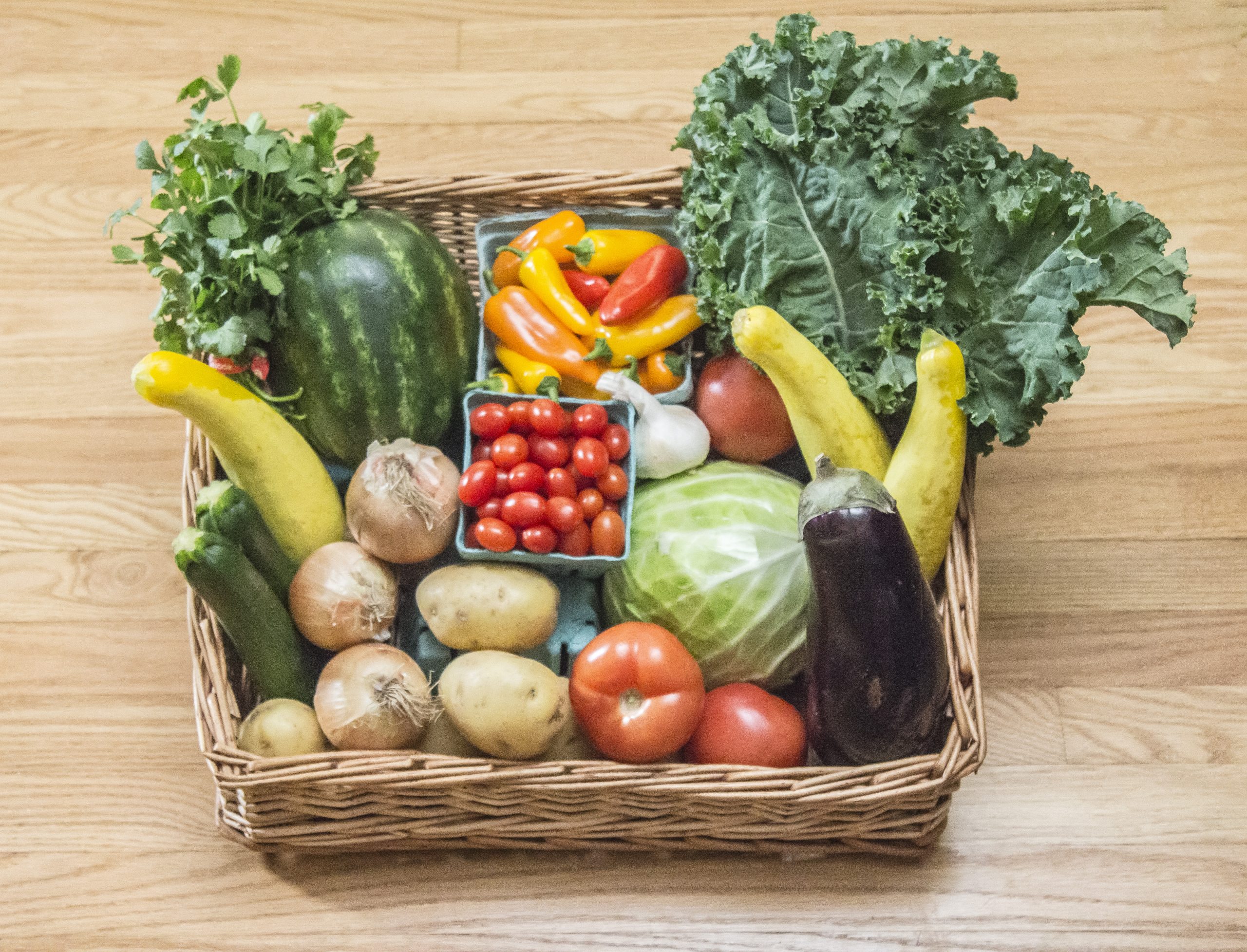 A full Rootbound CSA box with a variety of 7-10 kinds of vegetables.