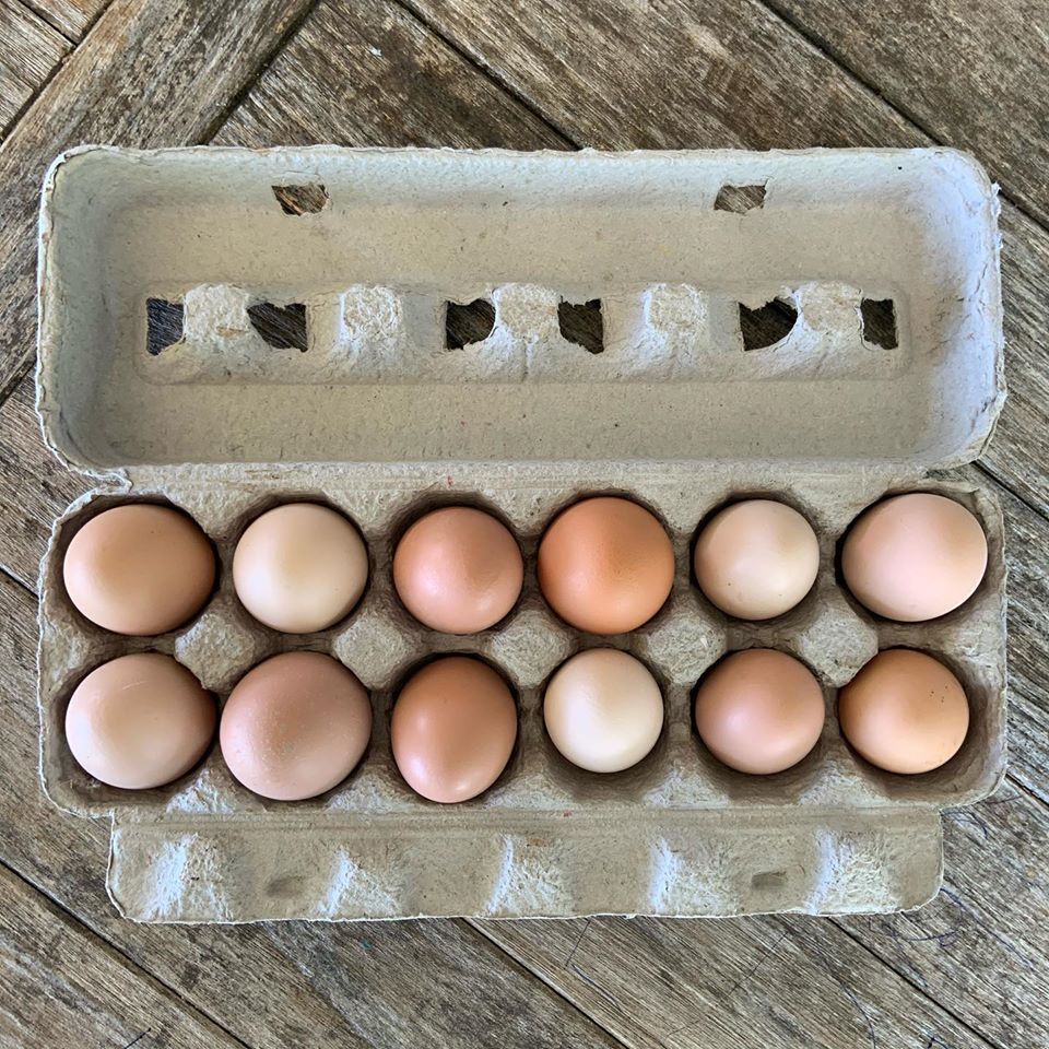 A carton of one dozen fresh eggs from Rootbound chickens.