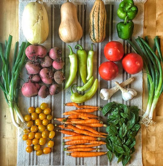 A robust Rootbound CSA box with a variety of 8-12 kinds of vegetables.